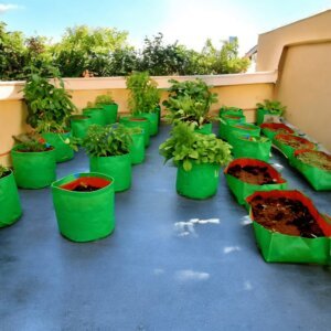 Best Plant Bag (Grow Bag) | 12×12  -10pcs