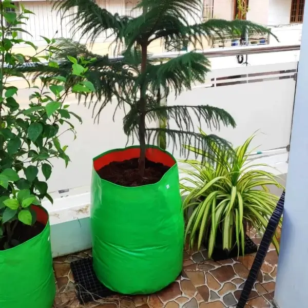18x15 Green Gardening Grow Bags for Planting - 5pcs - Image 2