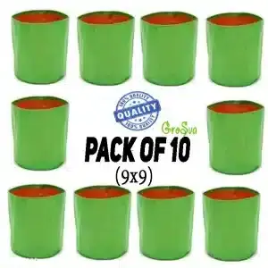 Small Grow Bags for Plants | 9×9 (10 pcs)