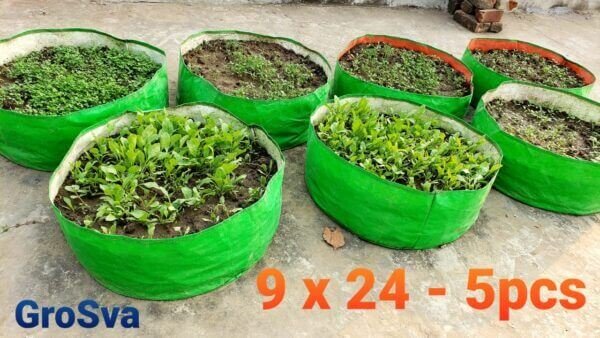 Grow Bags for Leafy Vegetables