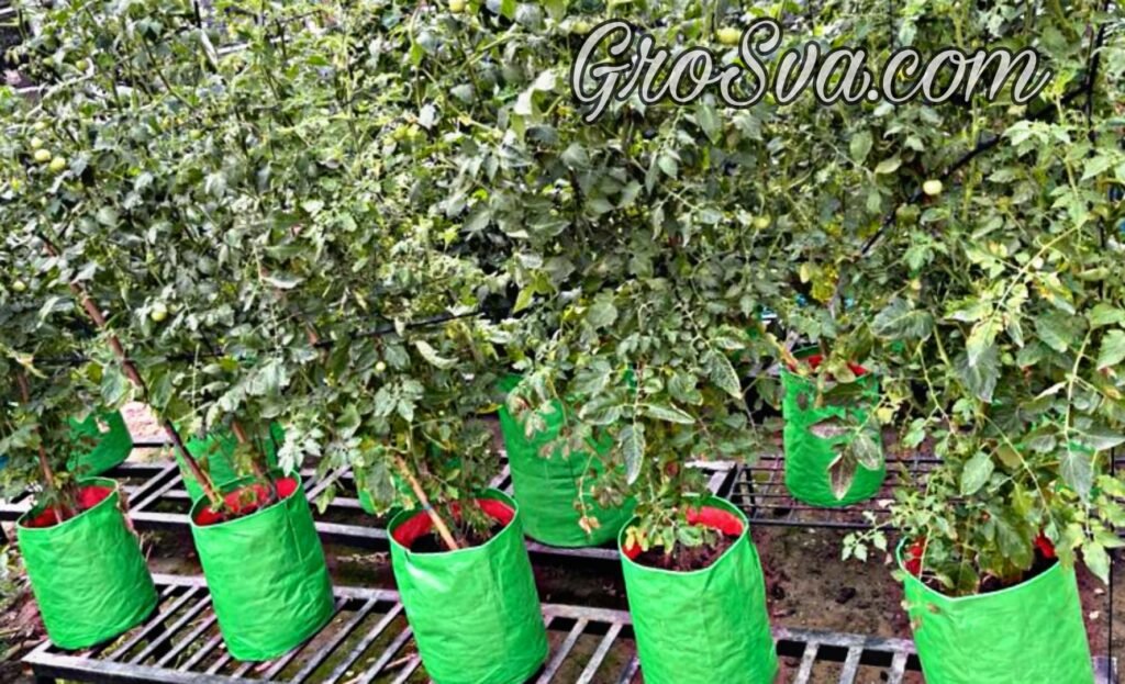 Grow Bags Manufacture in india