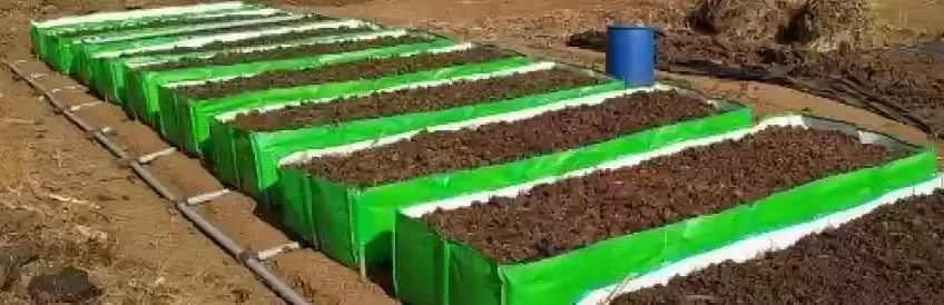 Vermi Bed - GroSva