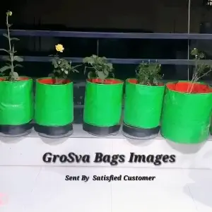 HDPE Grow Bag for flowers ~9 x 9 (10 pcs)