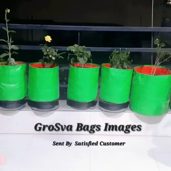 Grow Bags Image