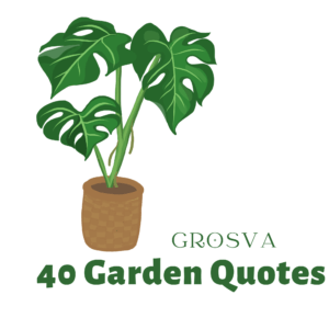 Read more about the article 40 Garden Quotes About Gardening Inspirational