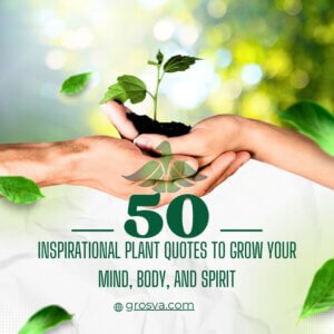 Read more about the article 50 Inspirational Plant Quotes to Grow Your Mind, Body, and Spirit