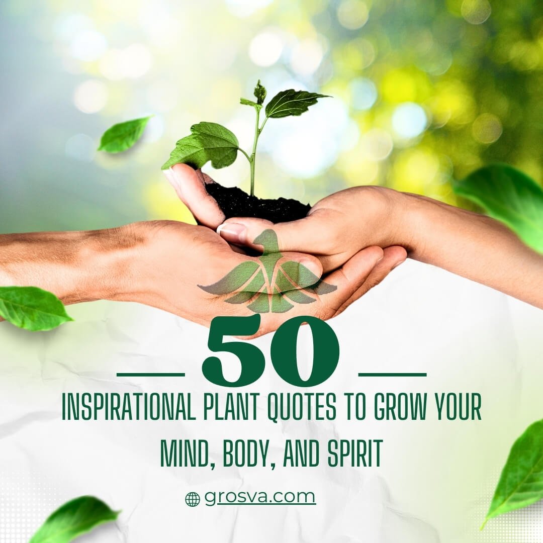 Read more about the article 50 Inspirational Plant Quotes to Grow Your Mind, Body, and Spirit