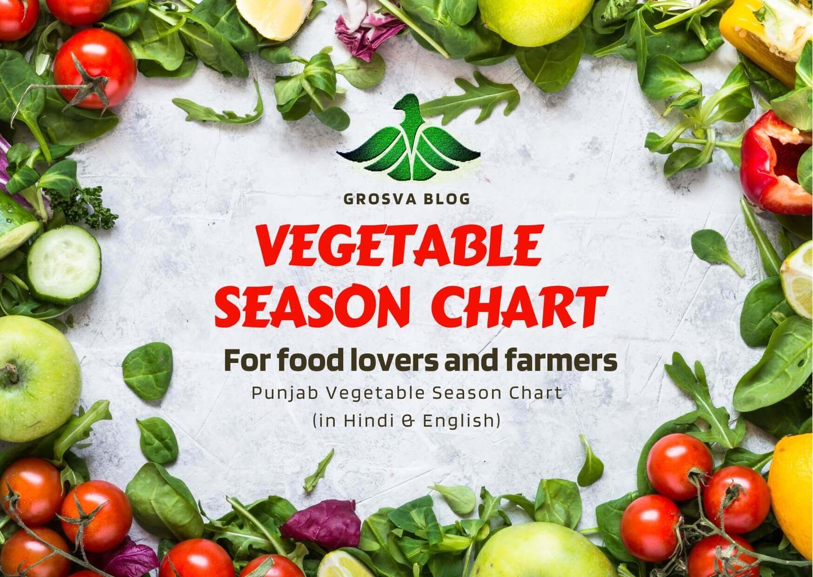 Read more about the article Vegetable Season Chart: Month-by-Month Guide for Perfect Harvest